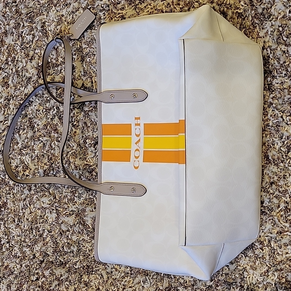 VARISTY STRIPE COACH PURSE